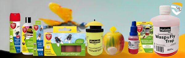 Fliegen