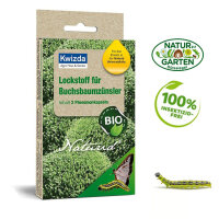 Naturid Lockstoff Buchsbaumzünsler 2 Stk