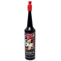 Nutri One Kur 32ml