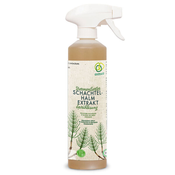 Schachtelhalm Extrakt 500ml