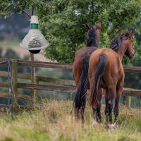 FlyStop Wespen- und Bremsenfalle